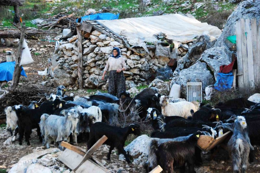 Yörüklerin Toroslar’dan Sahile Dönüş Yolculuğu Başladı