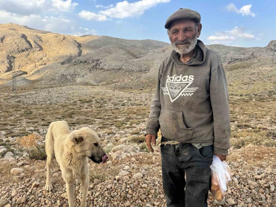 Yörüklerin Toroslar’dan Sahile Dönüş Yolculuğu Başladı