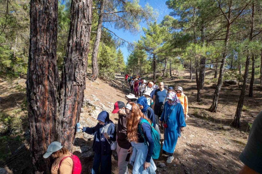 Tarihi Kilikya Yolunda Tarih Ve Doğa Yolculuğu