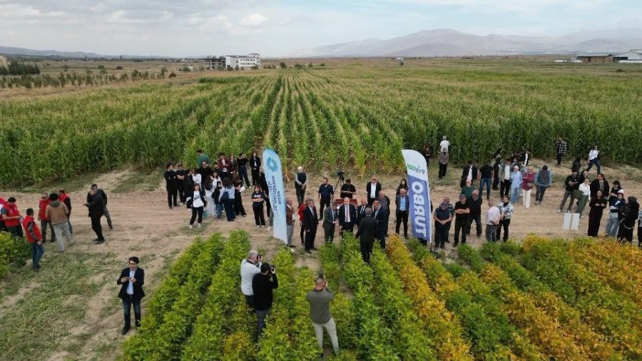 Nöhü’den Tarımda Verimliliği Artıracak Çalışma
