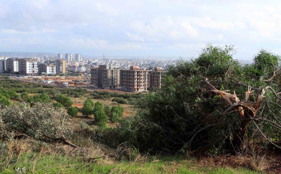 Antalya’da 4 Kişinin Ölümüne Sebep Olan Hortum, Şantiye Alanına Gelinceye Kadar Önüne Geleni Adeta Parçalamış