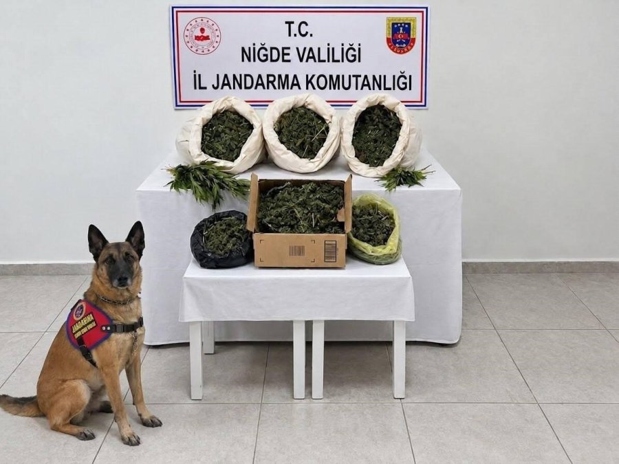 Niğde’de Bir Haftada 46 Aranan Şahıs Yakalandı