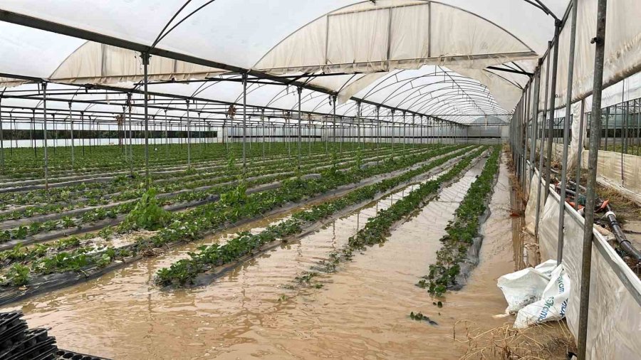 Mersin’de Şiddetli Yağış: İlçelerde Yollar Ve Tarım Alanları Su Altında Kaldı