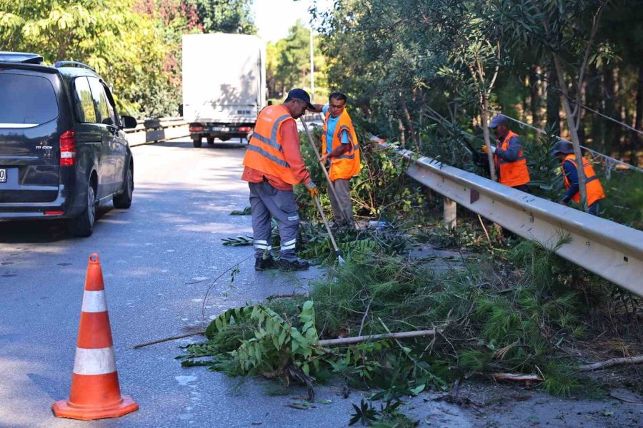 Antalya Büyükşehir Belediyesi’nden Cop31 İçin Yoğun Mesai