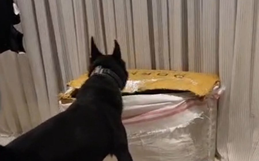 Antalya’da Zehir Tacirine Operasyon Kamerada: 7,5 Kilogram Esrar Ele Geçirildi