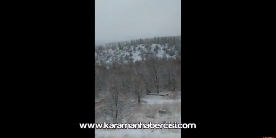 Manazan Çevresinde Domuz Sürüsü