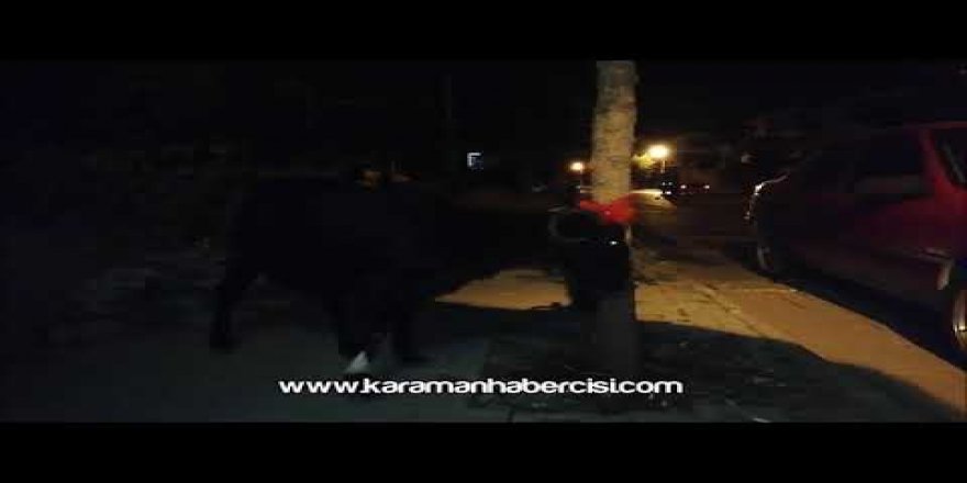 Karaman'da Kurban Manzaraları